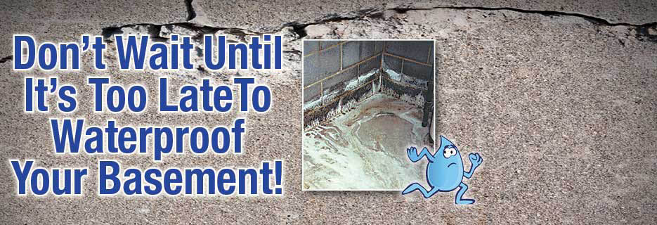 Everdry Waterproofing: How to waterproof your basement 