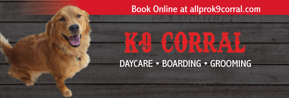 k9 corral pet containment system