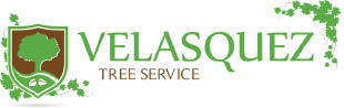 velasquez tree service logo