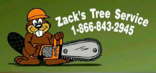 zack's tree service, llc logo