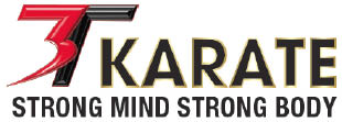 3t karate logo