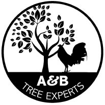 a&b tree experts logo