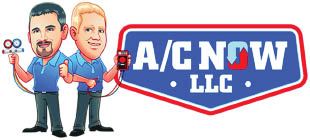 ac now logo