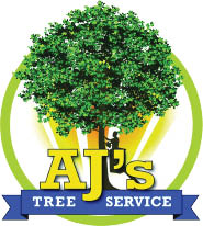 aj major’s tree service logo