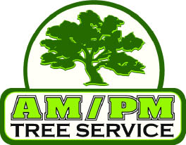 am/pm tree service logo