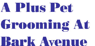 a plus pet grooming at bark avenue logo