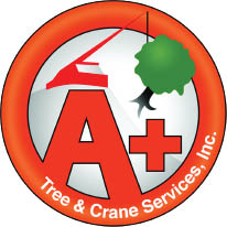 a+ tree & crane services inc. logo