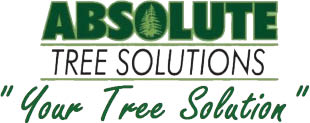 absolute tree solutions logo