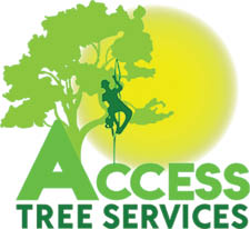 access tree services logo