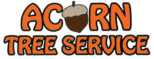 acorn tree service logo
