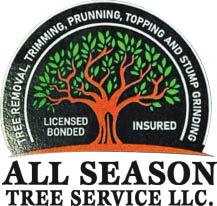 all season tree service llc logo