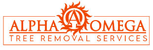 alpha and omega solutions llc logo