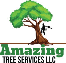 amazing tree services logo