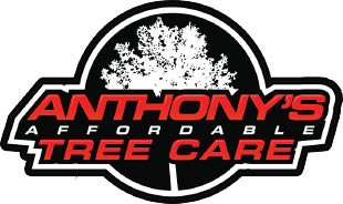 anthony's tree service logo