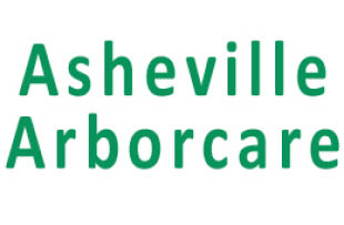 asheville arborcare logo