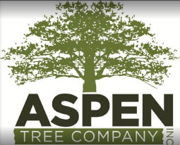 aspen tree company logo