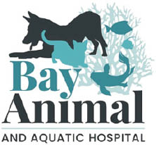 bay animal and aquatic hospital logo