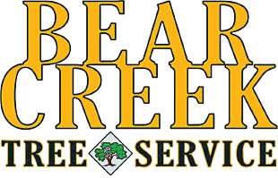 bear creek landscaping & tree service logo