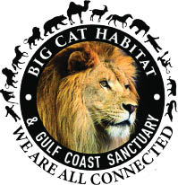 big cat habitat logo