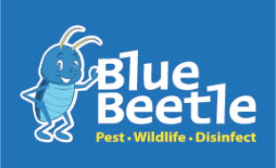 blue beetle termite & pest mgmt. logo