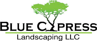 blue cypress landscaping inc logo