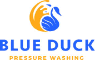 blue duck pressure washing logo