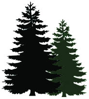 blue pine snow and landscaping logo