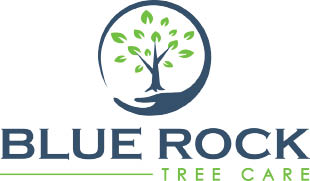 blue rock tree care logo