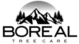 boreal tree care logo