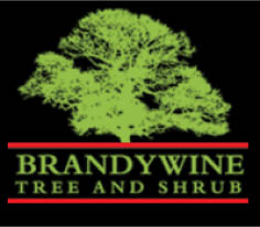 brandywine tree & shrub logo