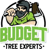 budget tree experts logo