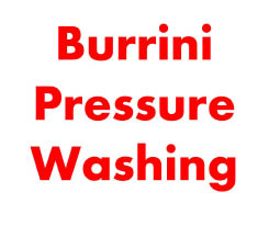 burrini power washing inc. logo