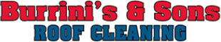 burrini’s & sons roof cleaning logo