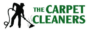 the carpet cleaners logo