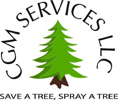 cgm services logo