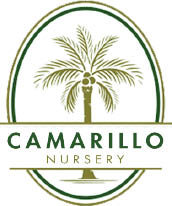 camarillo nursery logo