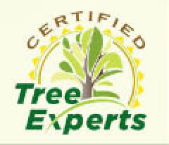 certified tree experts logo