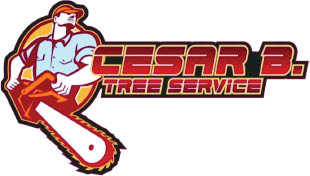 cesar b tree services logo