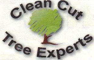 clean cut tree experts logo