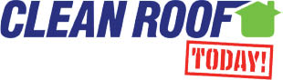 clean roof today logo