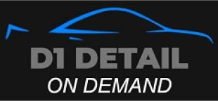 d1 detail on demand logo