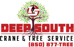 deep south tree & crane service logo
