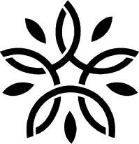 direct cremation service of illinois logo