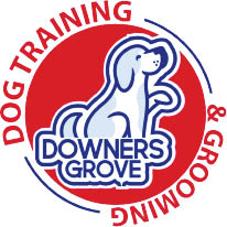 beach for dogs downers grove logo