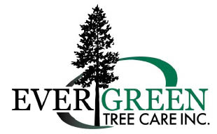 evergreen tree care inc. logo