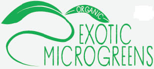 exotic microgreens - the new super food from lone jedi farm logo