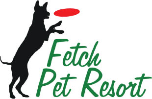 fetch pet resort logo