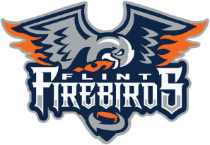 flint firebirds logo
