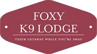 foxy k 9 lodge logo