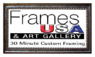 frames usa miami logo